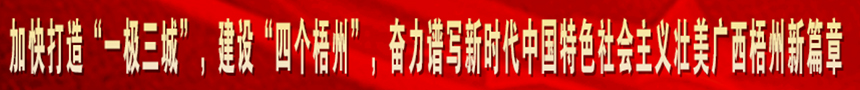 加快打造“一級(jí)三城市”，建設(shè)“四個(gè)梧州”，奮力譜寫(xiě)新時(shí)代中國(guó)特色社會(huì)主義壯美廣西梧州新篇章